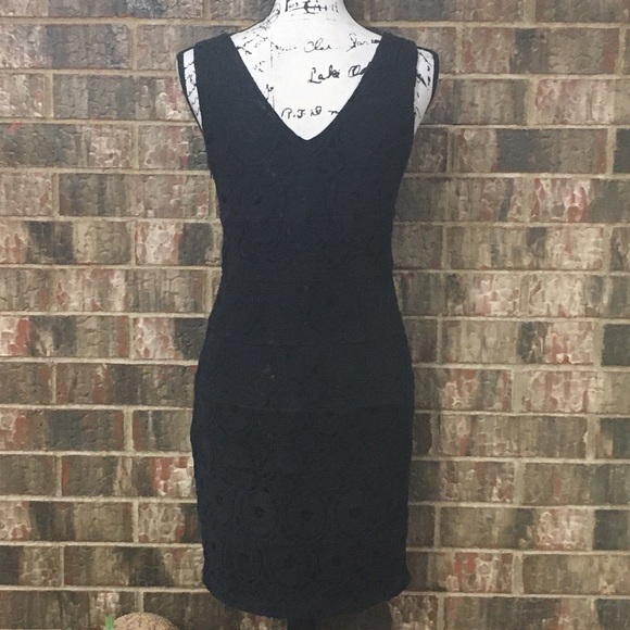 EUC EN FOCUS Lovey Lined, Side Zippered Lace Dress - Picture 7 of 11